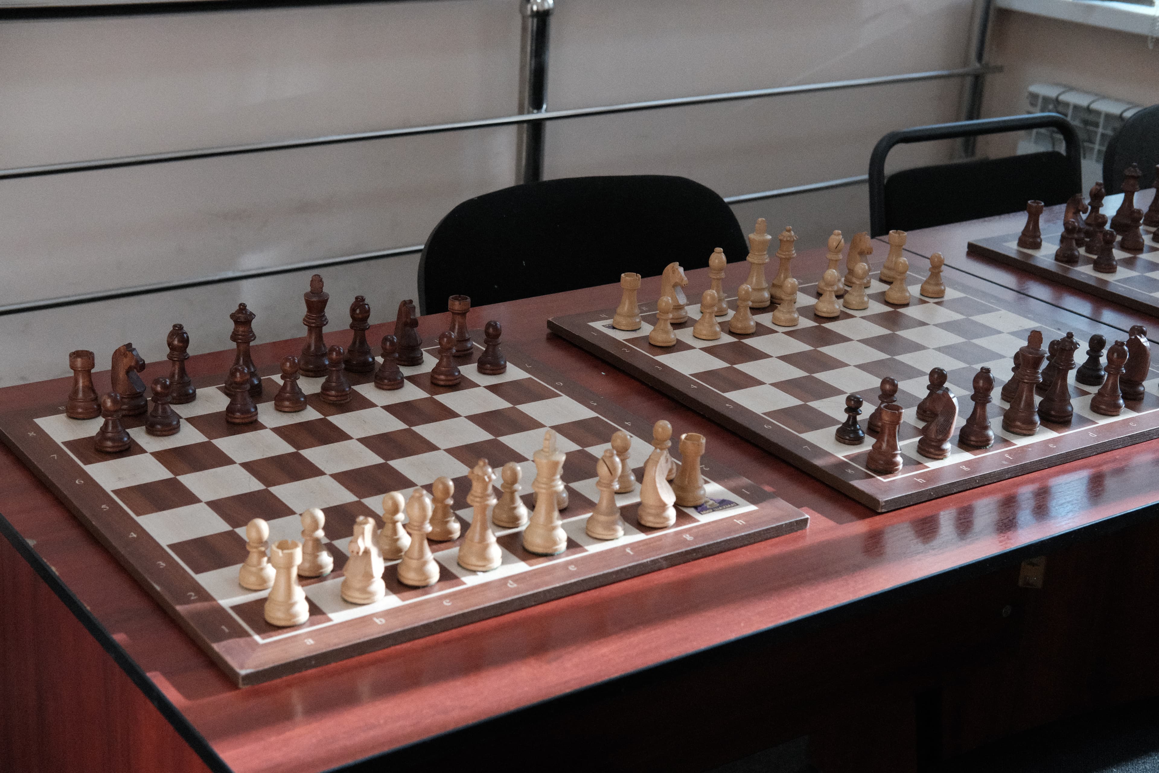 Летний шахматный лагерь